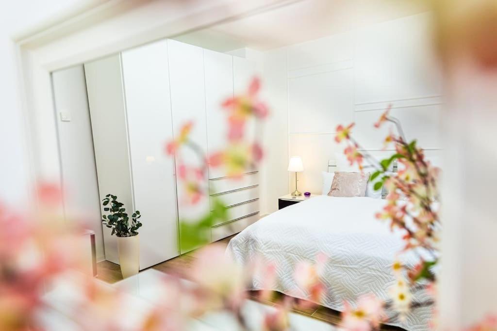 קובלנץ Charmante Wohnung In Koblenzer Innenstadt מראה חיצוני תמונה